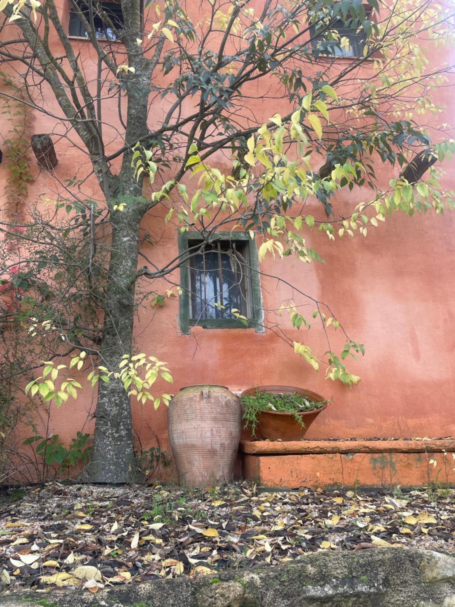 Hostal Maset Del Riu Valderrobres Exterior foto